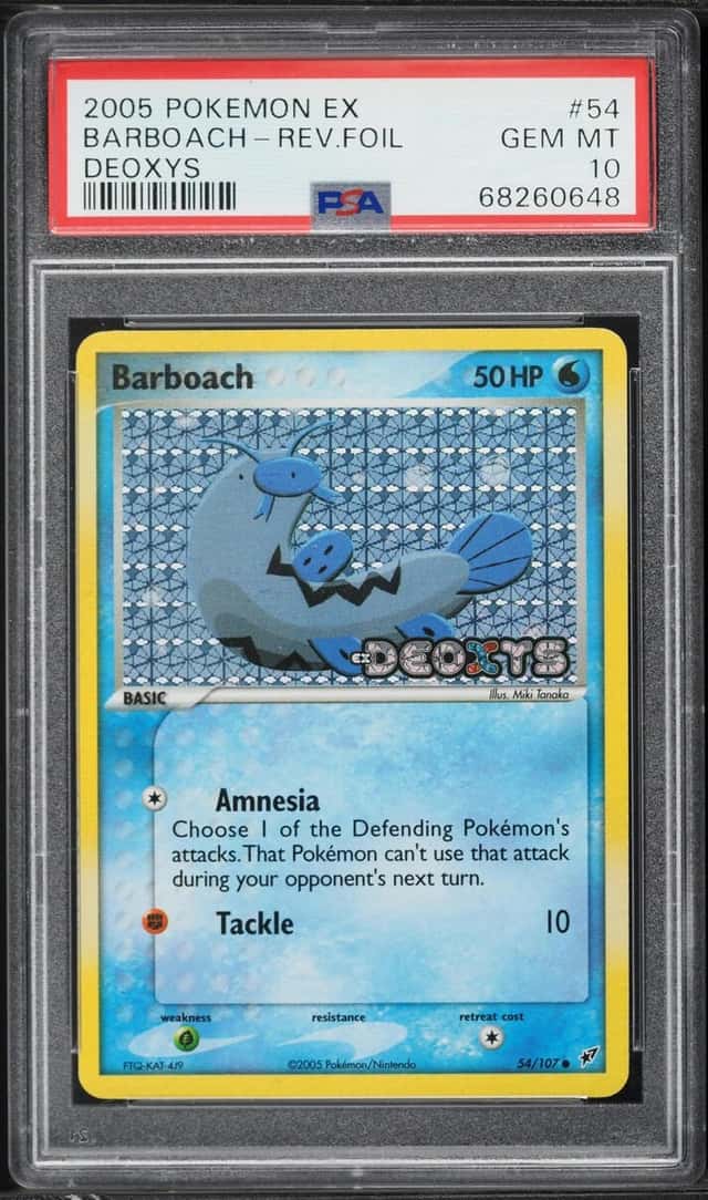 Barboach