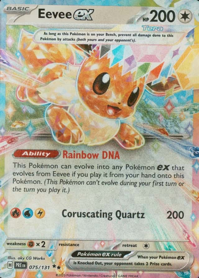 Holo