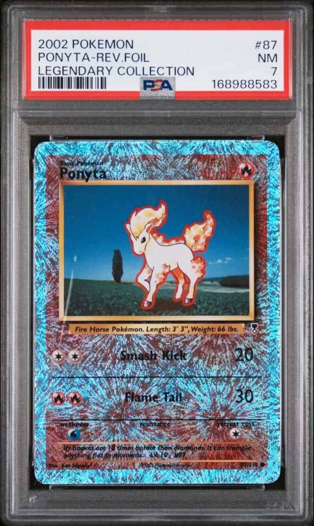 Ponyta