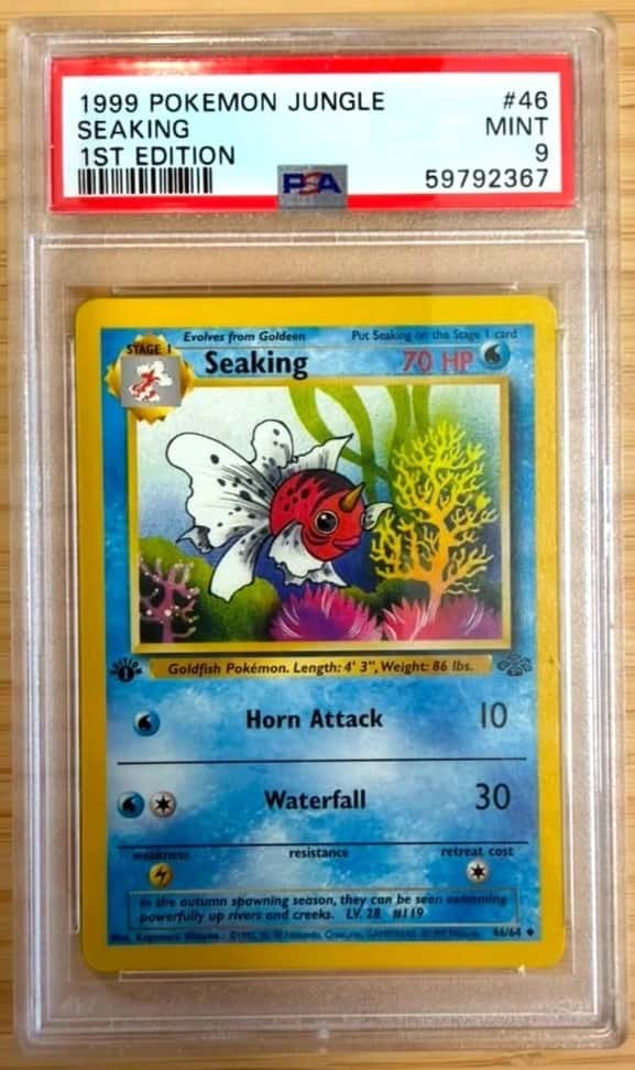 Seaking