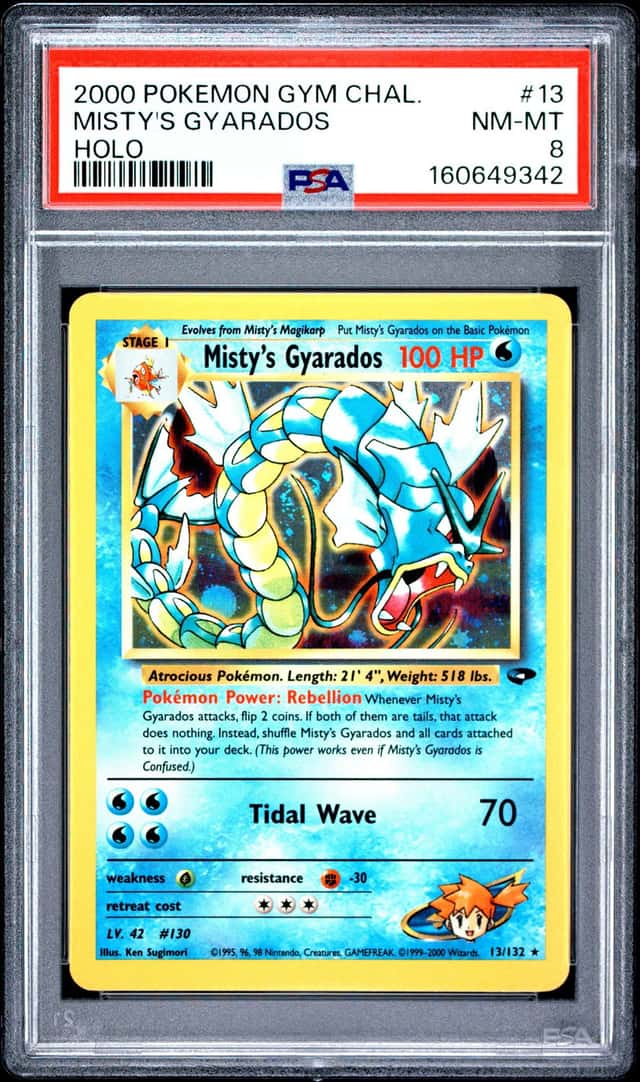Misty's Gyarados