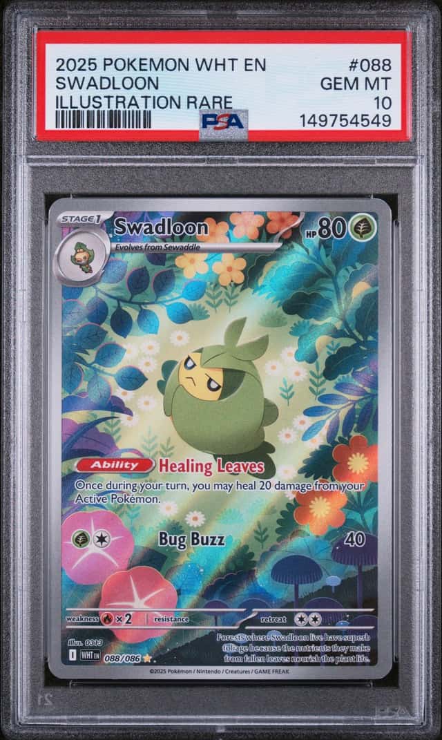 Swadloon