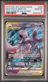 Mewtwo & Mew Gx