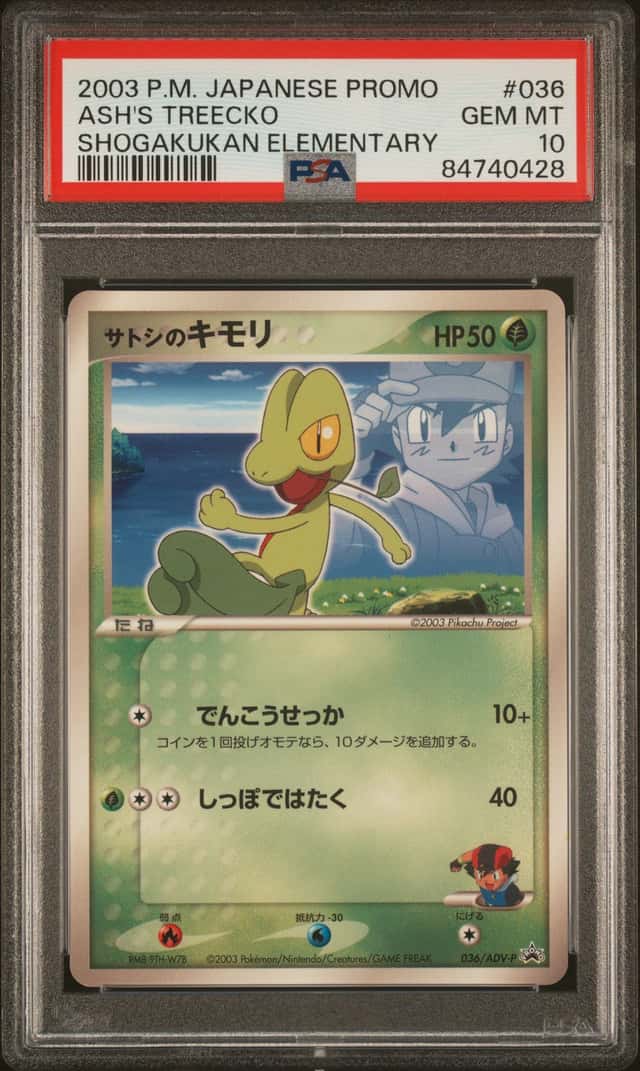 PTCG 宝可梦 PSA10 小智的木守宫 2003 036/ADV-P PROMO 小学馆学年志小学三年级生、小学四年级生(2003年9月号) 日版