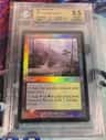 Llanowar Wastes R