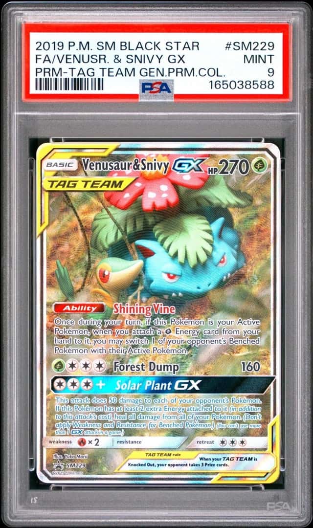 Venusaur & Snivy GX