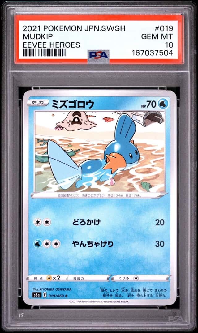 Mudkip