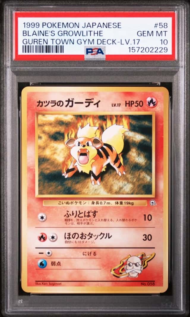 Blaine's Growlithe