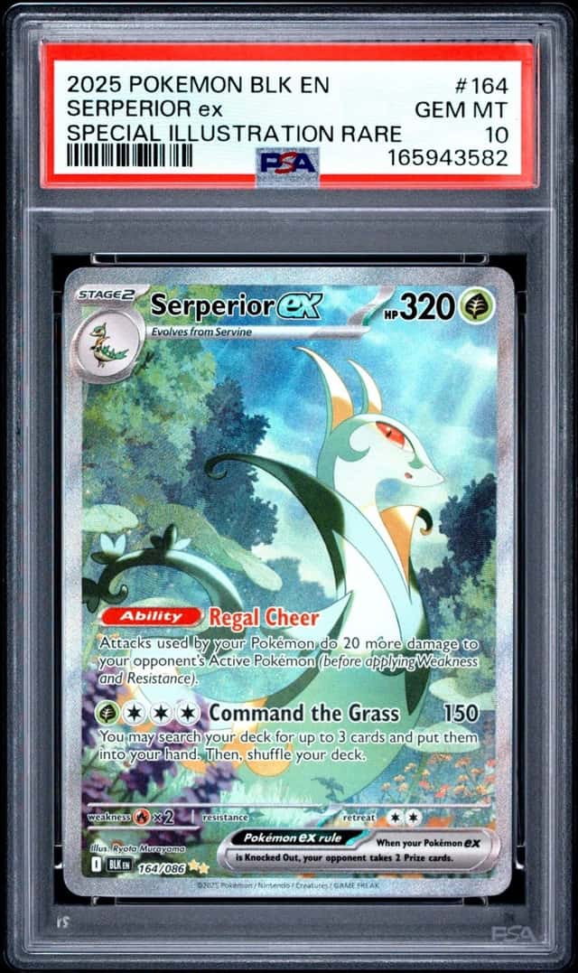 SERPERIOR ex