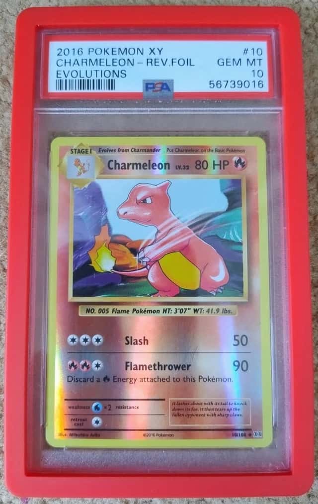 Charmeleon