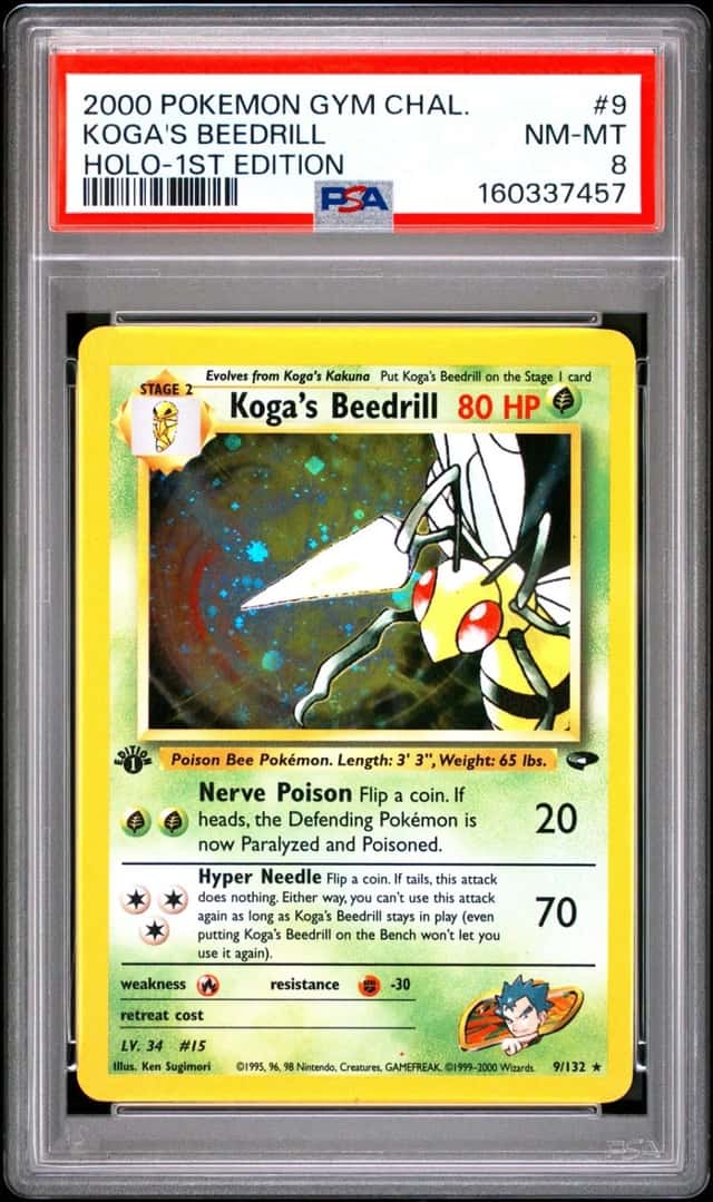 Koga's Beedrill