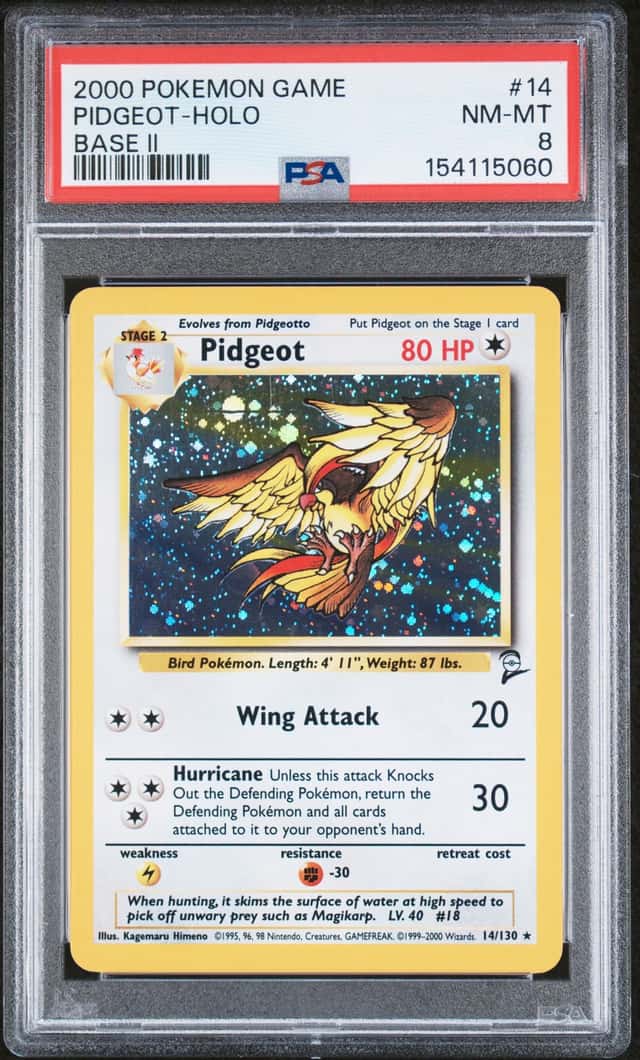 Pidgeot