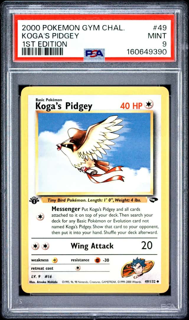 Koga's Pidgey