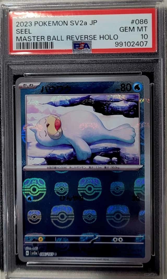 Seel