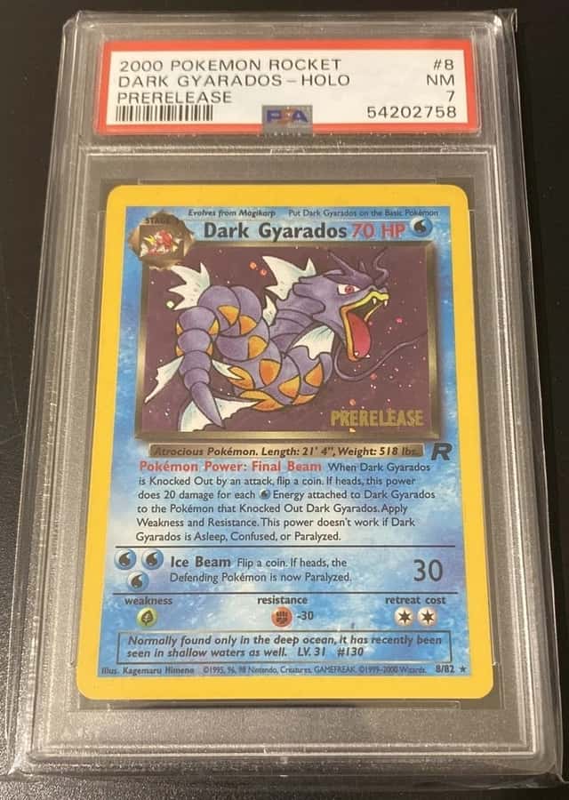 Dark Gyarados