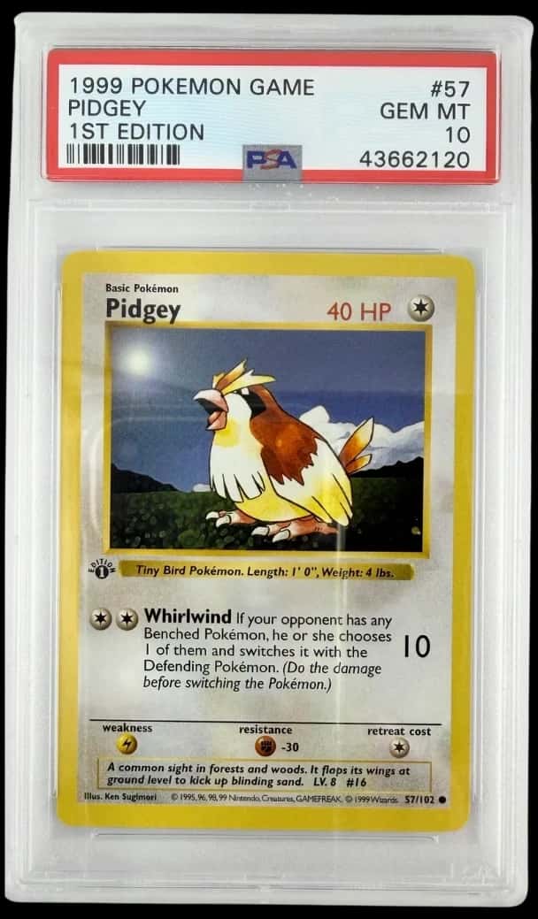 Pidgey