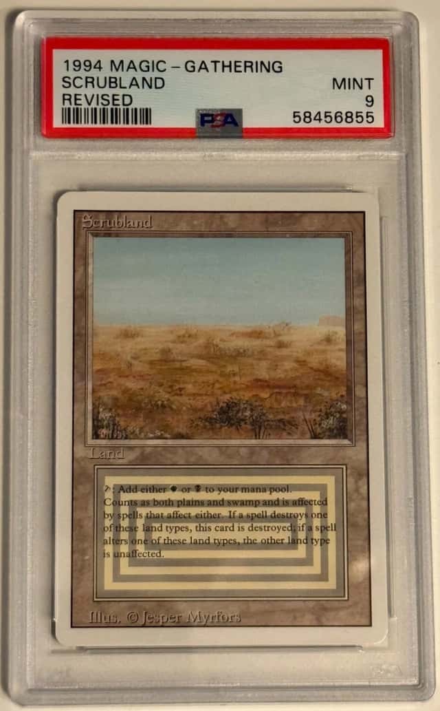 Scrubland