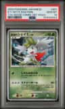 Icy Sky'S Shaymin