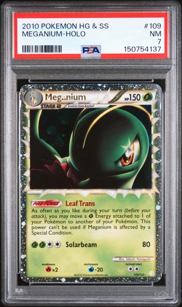 Meganium