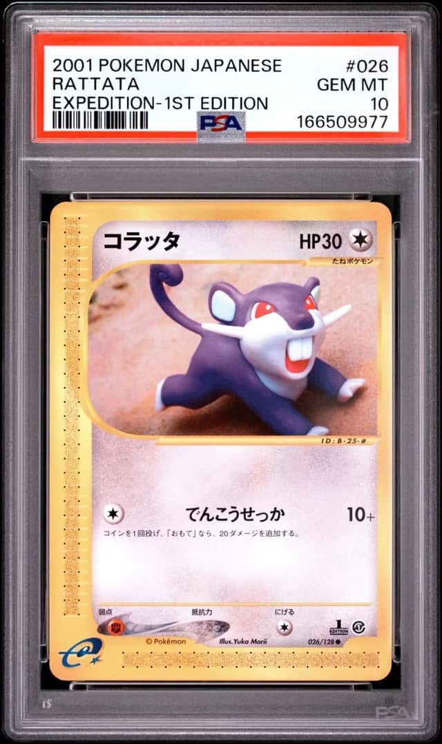 Rattata