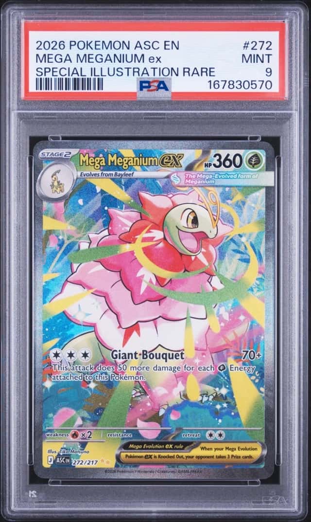 MEGA MEGANIUM ex