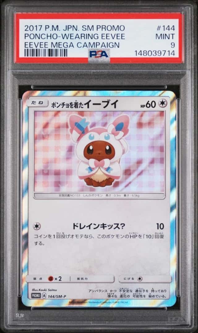 Poncho-Wearing Eevee