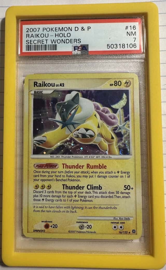 Raikou