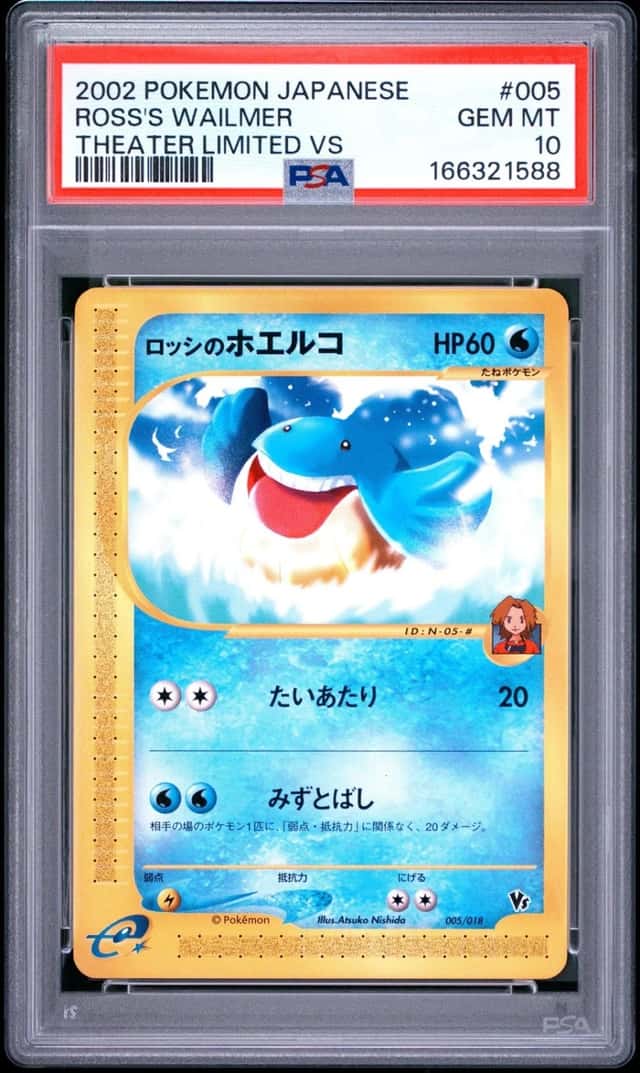 Ross's Wailmer