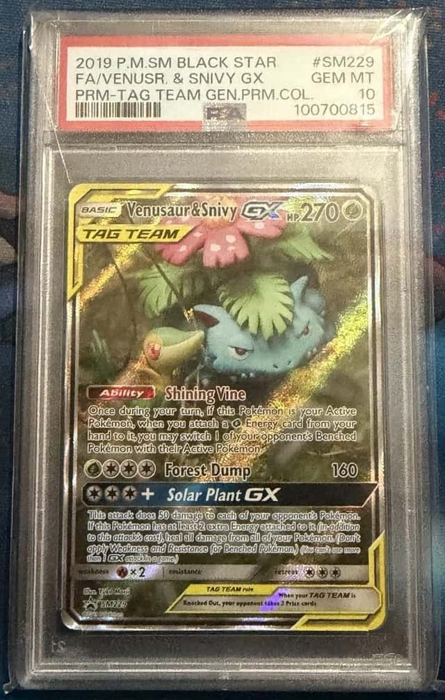 Venusaur & Snivy GX