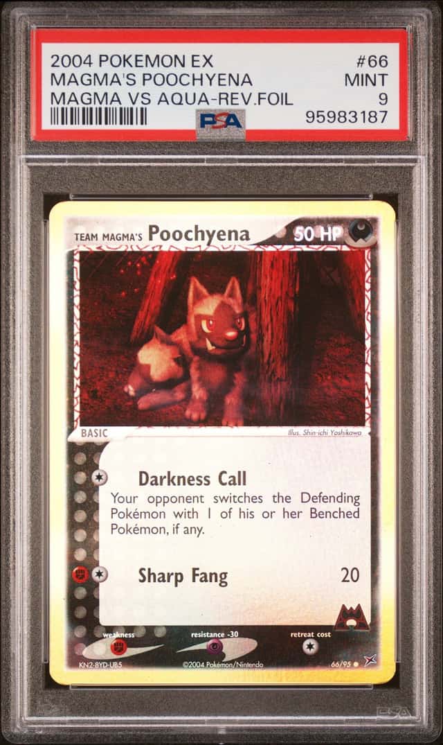 Magma's Poochyena