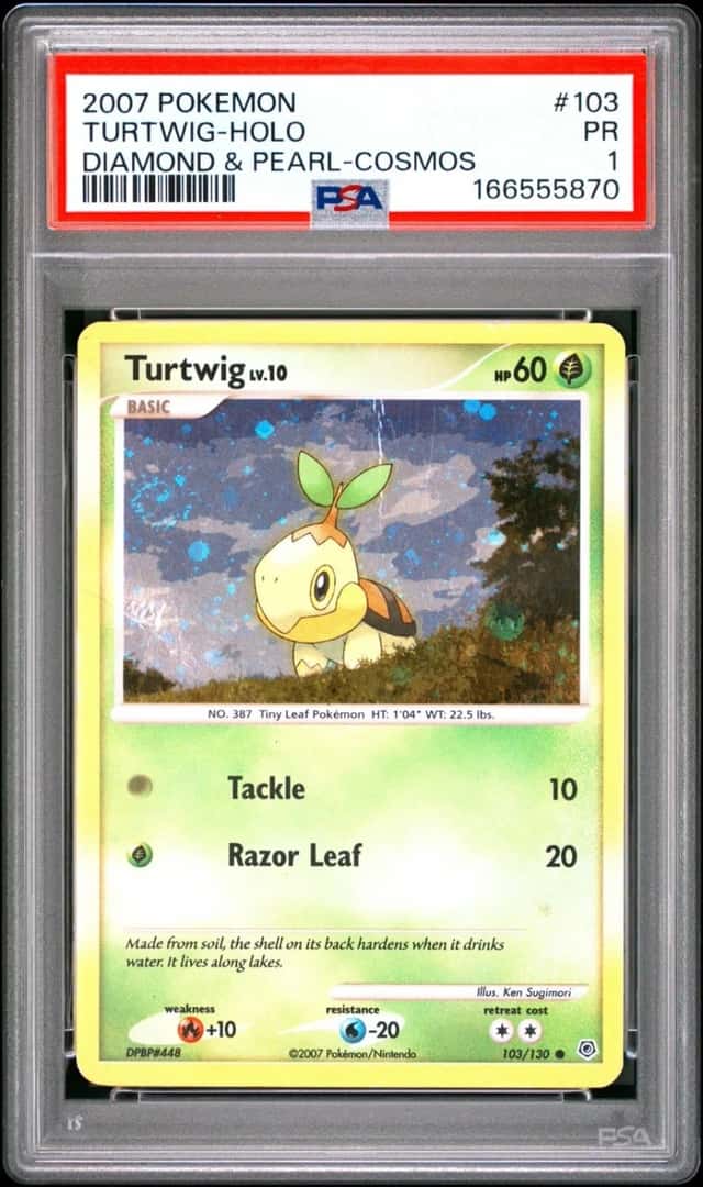 Turtwig
