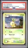 Turtwig