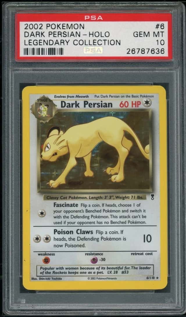 Dark Persian