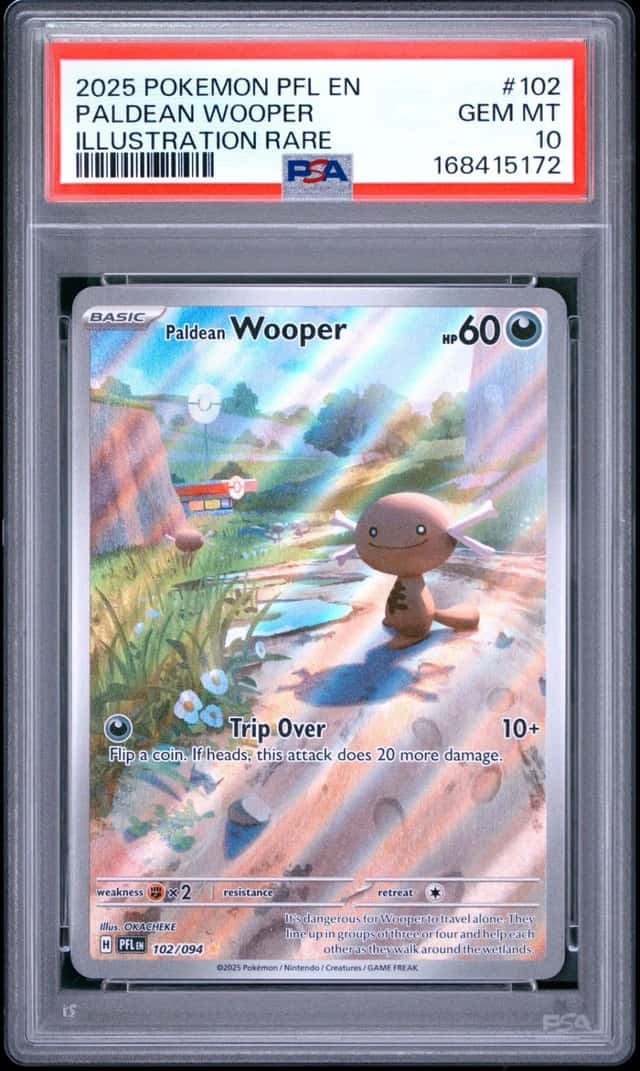 Paldean Wooper