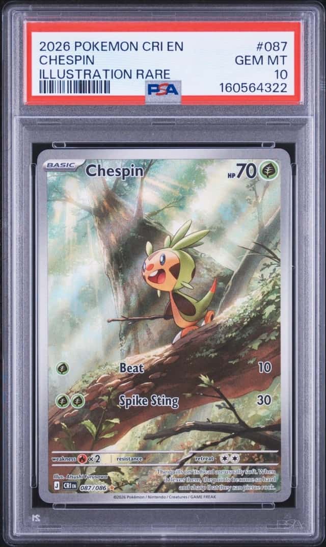 Chespin