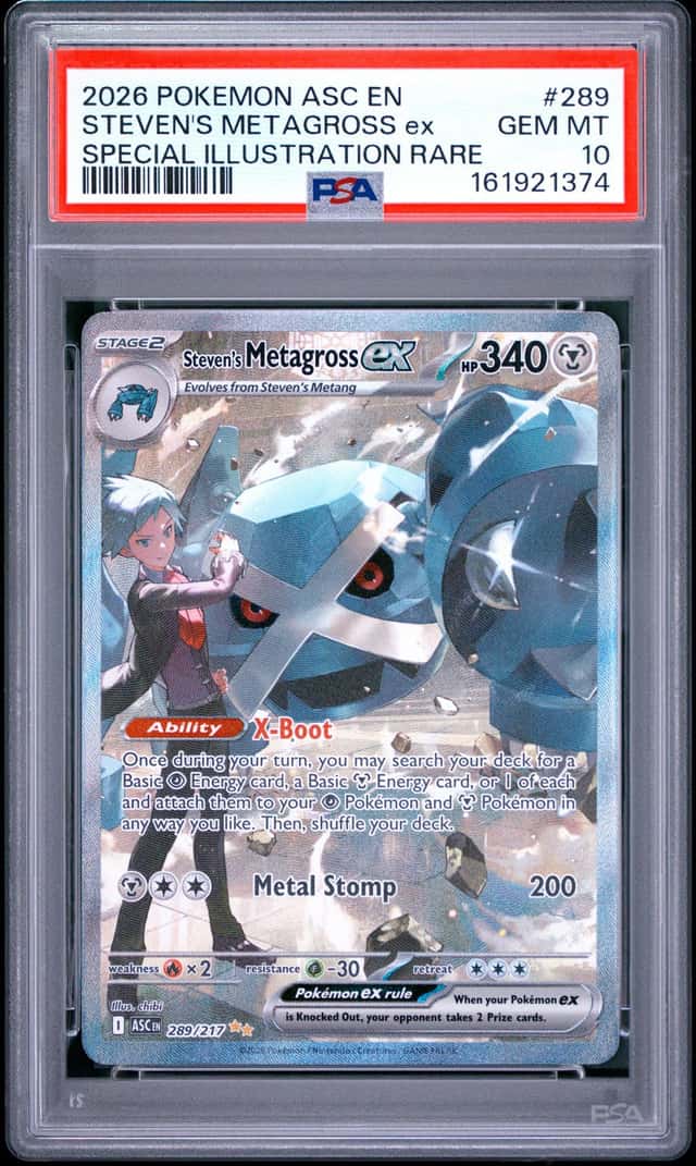 STEVEN'S METAGROSS ex