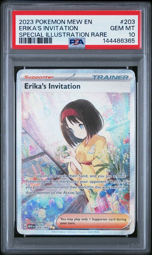 Erika's Invitation