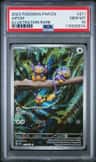 Aipom