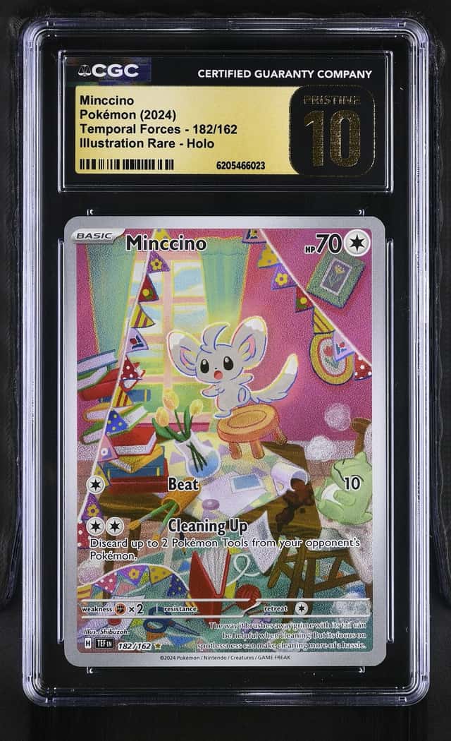 Minccino