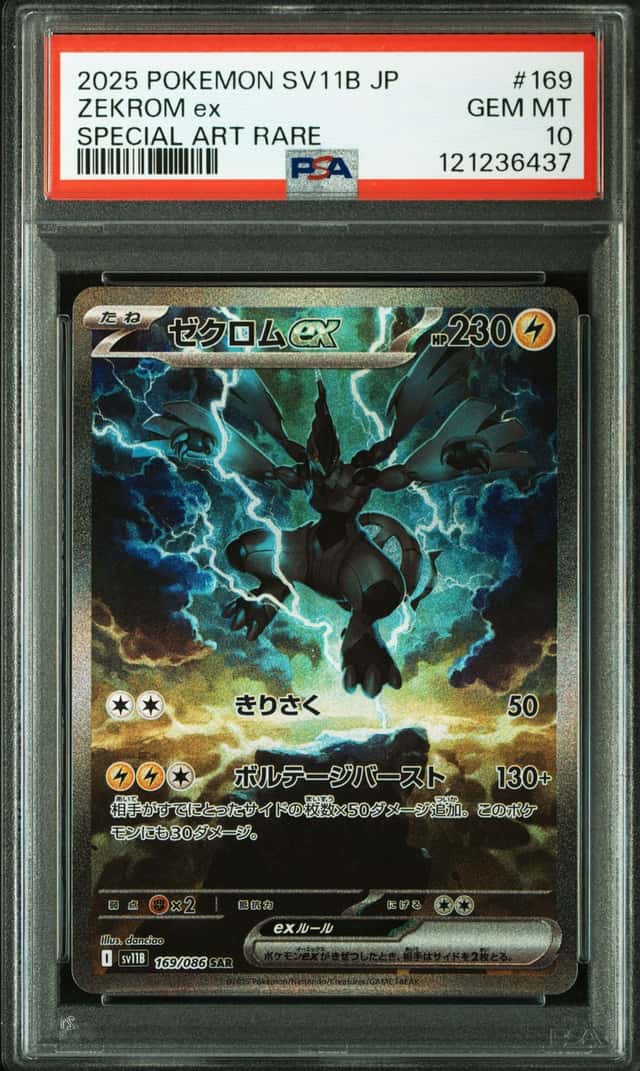 ZEKROM ex