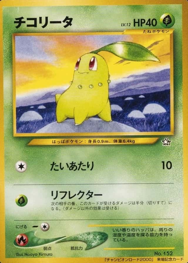 Champion Road 2000