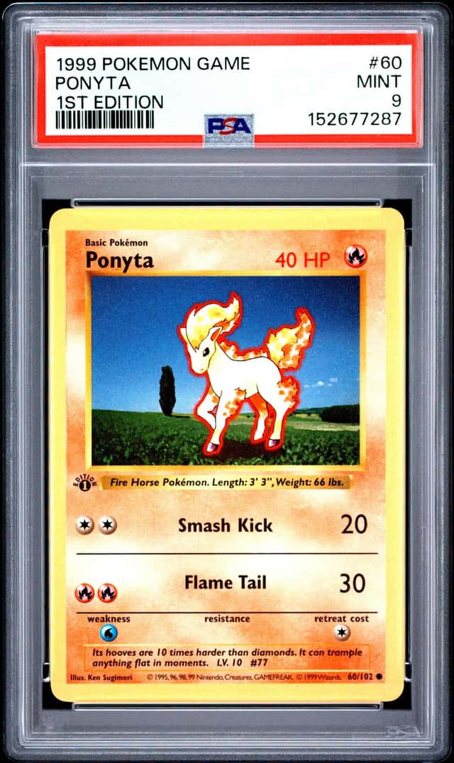 Ponyta