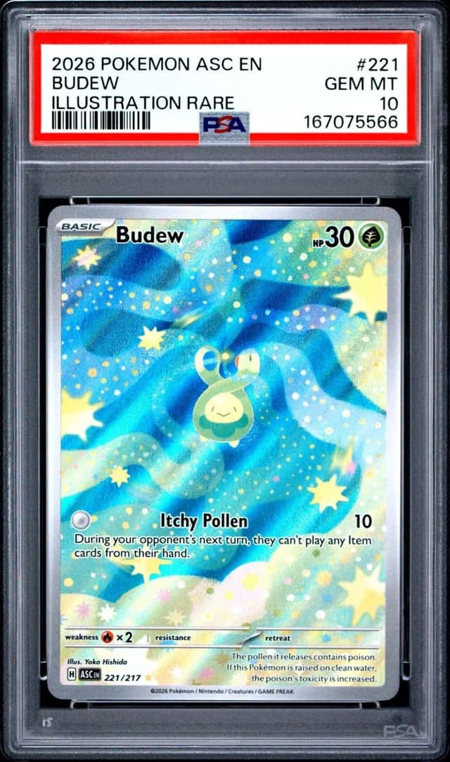 Budew