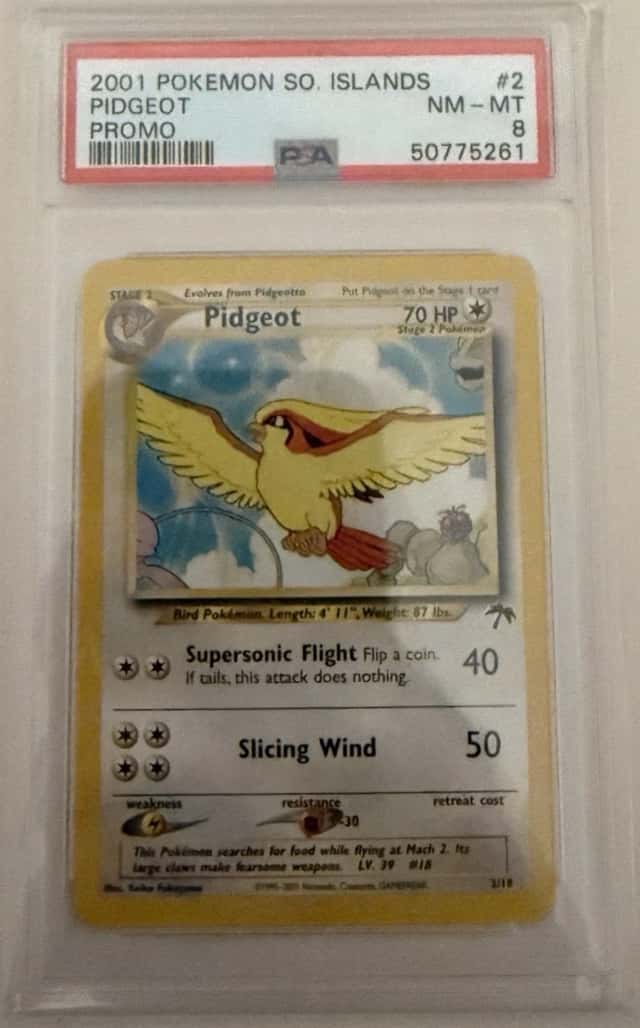 Pidgeot