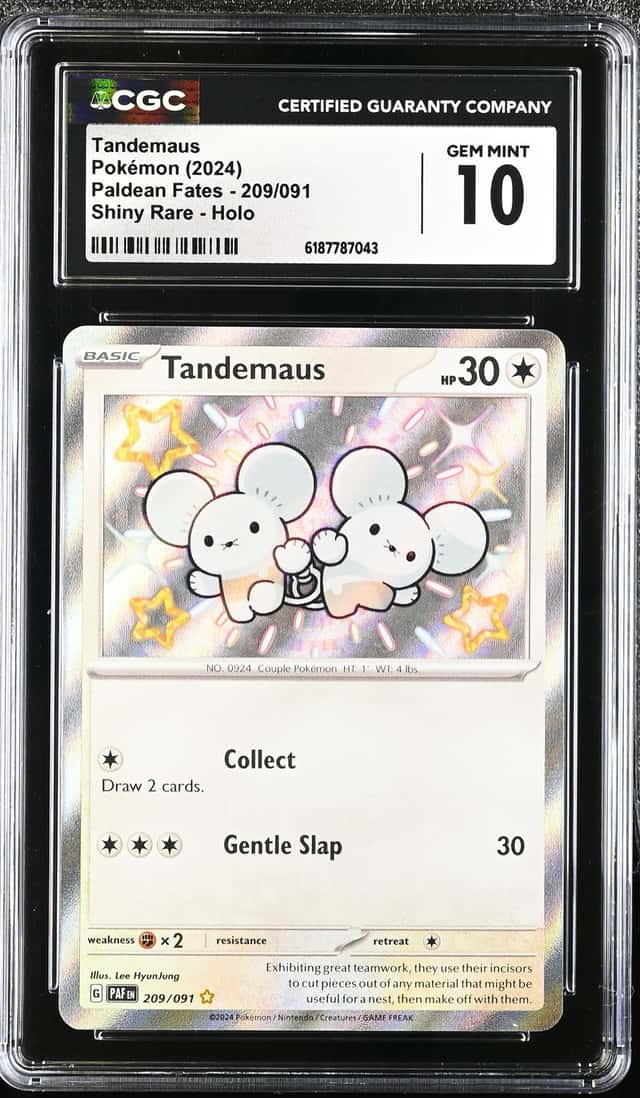 Tandemaus