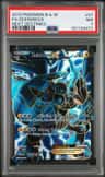 Zekrom Ex