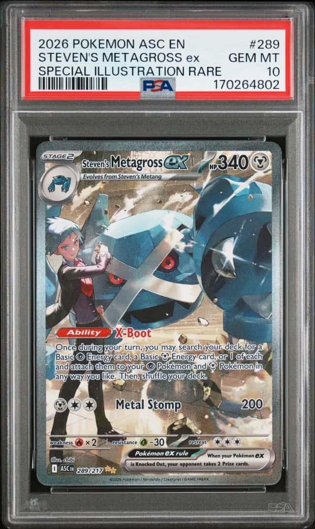 STEVEN'S METAGROSS ex