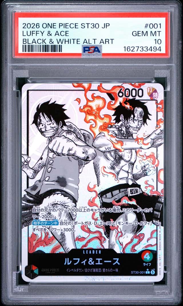 Luffy & Ace