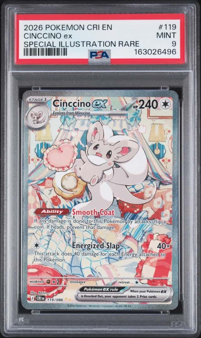 CINCCINO ex