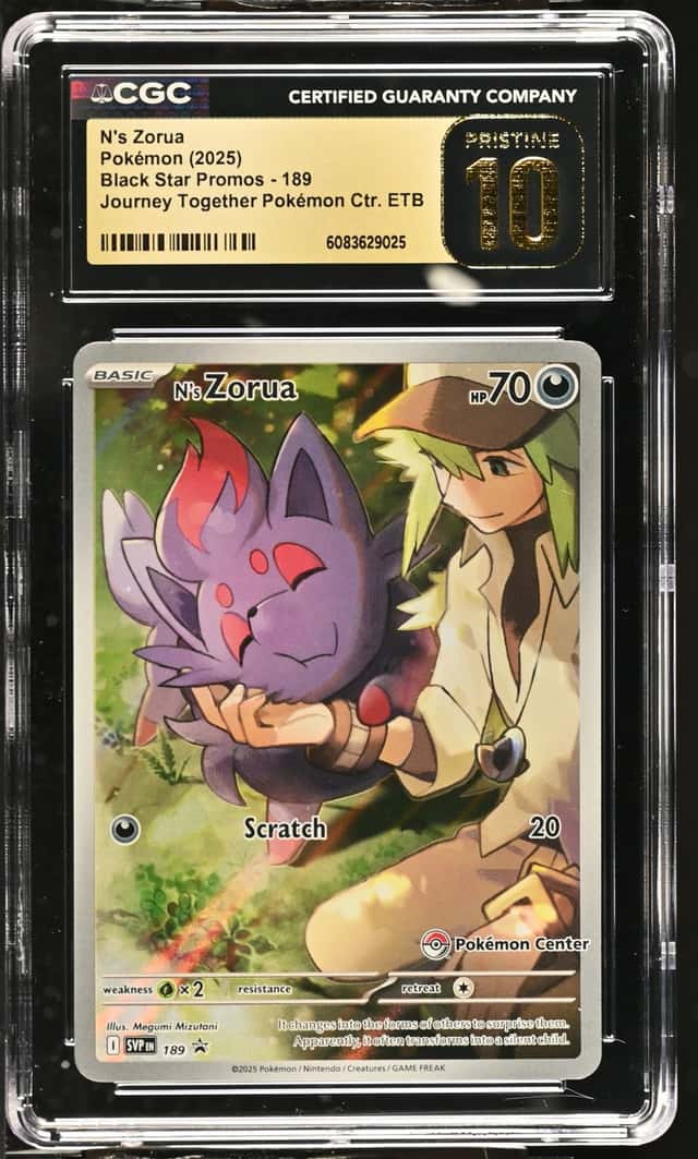 N's Zorua